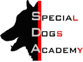 Special Dogs Academy UG in Niederohe Gemeinde Faßberg - Logo