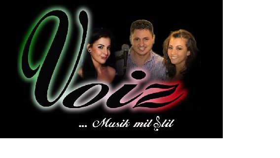 VOIZ - MUSIC in Birkenau im Odenwald - Logo