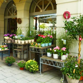 Goldmann & Weigert Blumenhandel in München - Logo