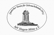 DVG Hagen Mitte e.V. in Hagen in Westfalen - Logo