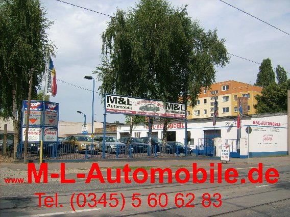 Autogasanlage Halle M&L Automobile Kerstin Müller in Halle (Saale) - Logo