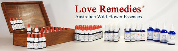 Love Remedies EU WUNDER-SCHOEN Naturprodukte Ltd. in Bad Bentheim - Logo