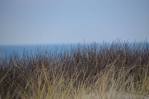 Huus op Sylt in Westerland in Sylt - Logo