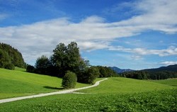 Arztpraxis Dr. med. Martin Ammerer in Bad Griesbach im Rottal - Logo