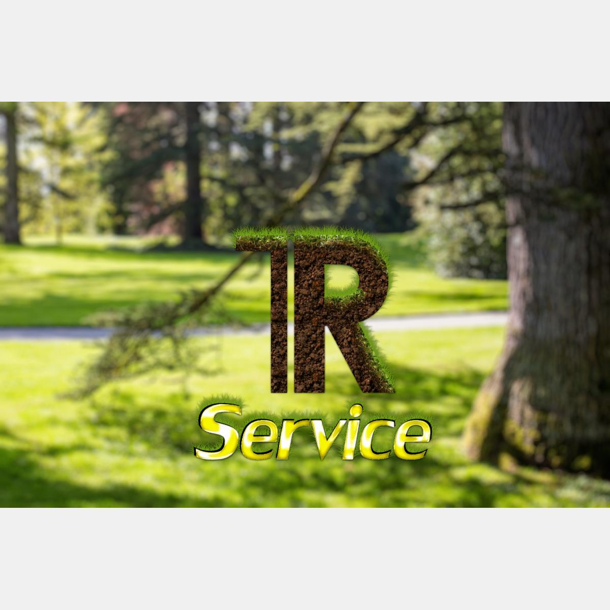 Top Rhein Service in Eltville am Rhein - Logo