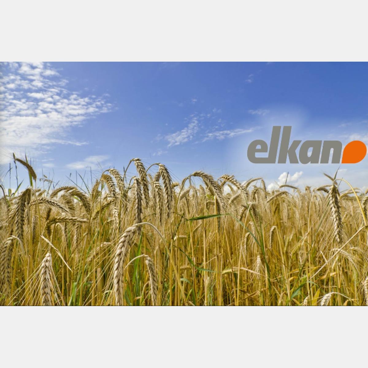 Elkan GmbH in Ratingen - Logo