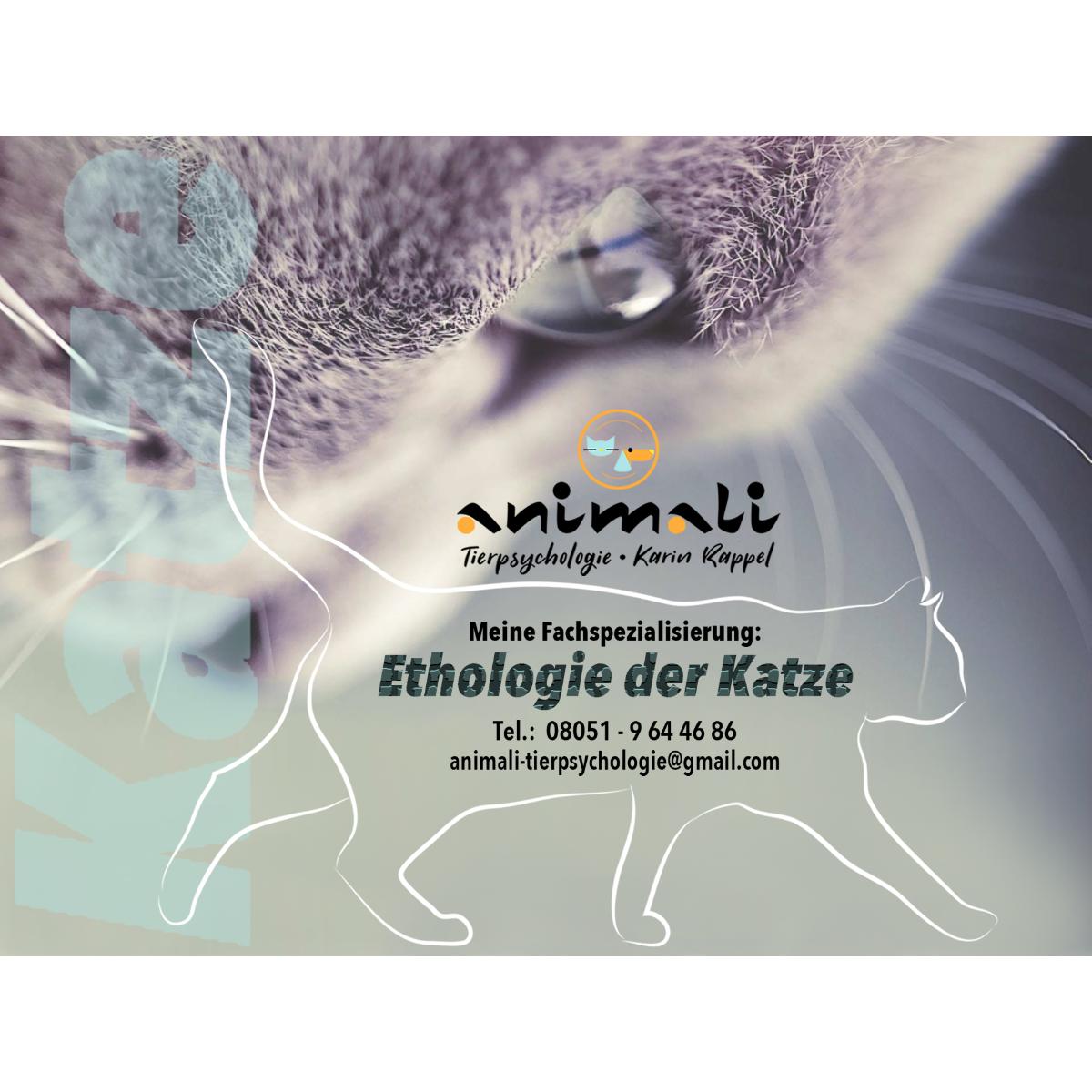 animali Tierpsychologie Karin Rappel in Prien am Chiemsee - Logo