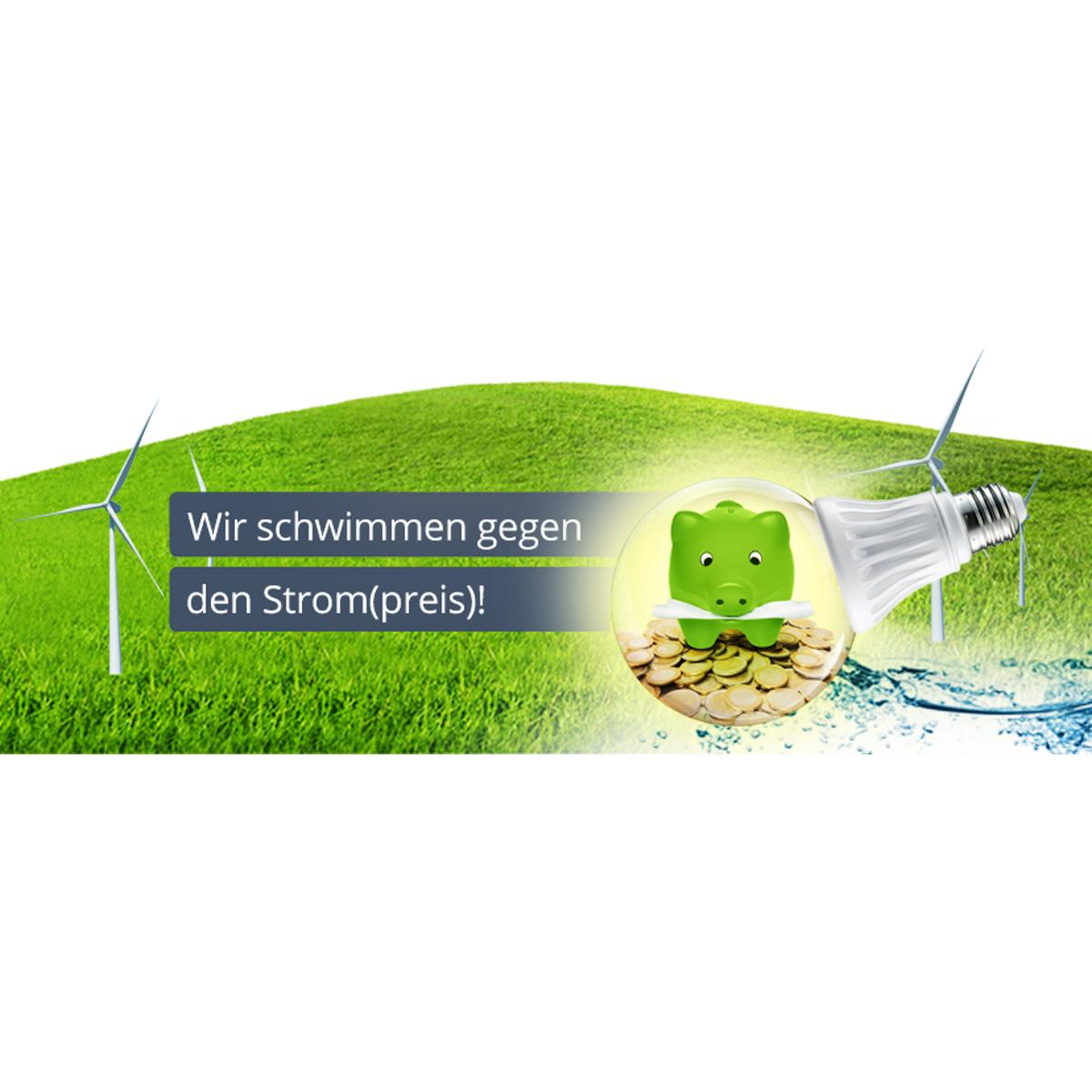 PAVAGO GmbH - Ihr Energieprofi in Ringsheim - Logo