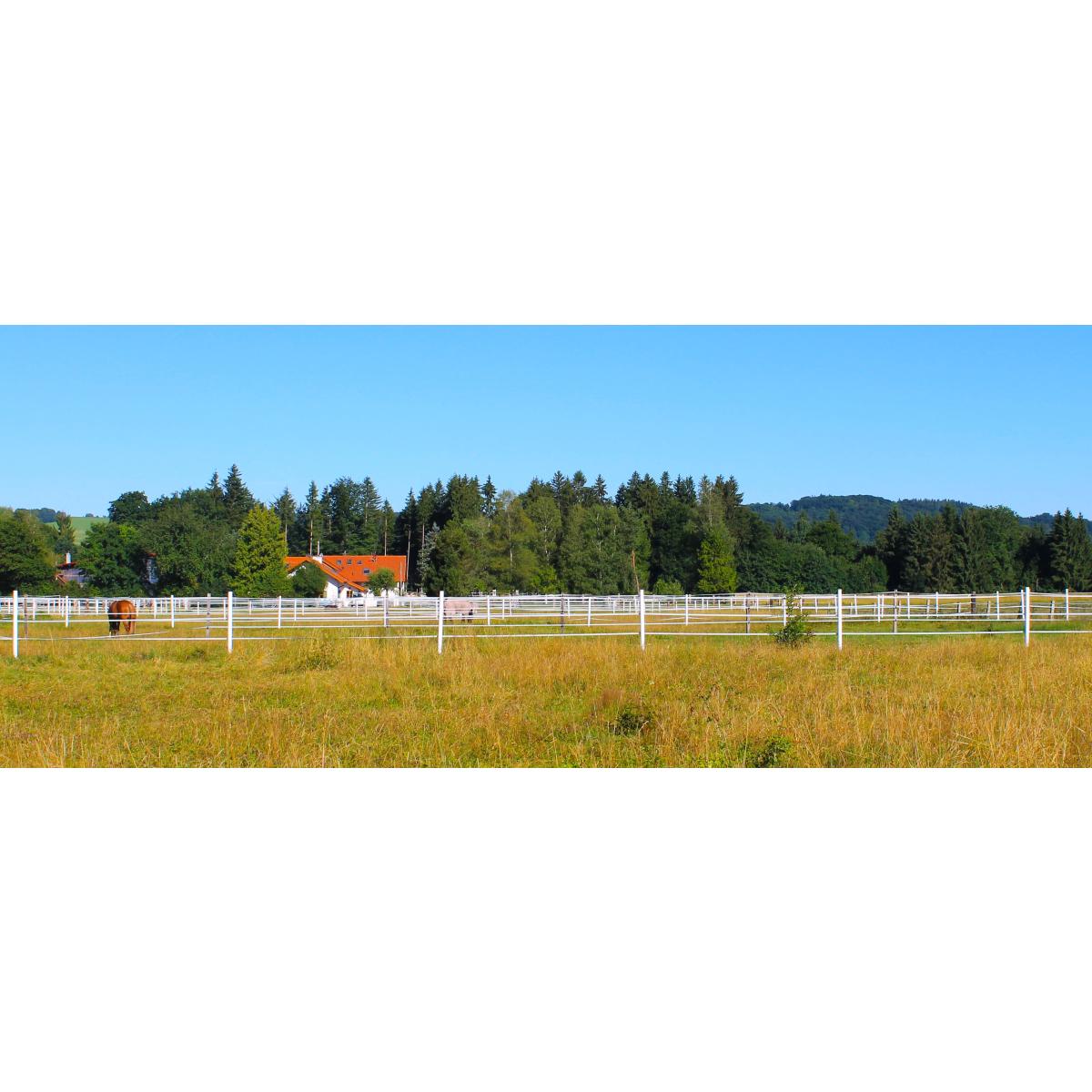 Reitanlage Koch in Lichtenau Stadt Weilheim in Oberbayern - Logo