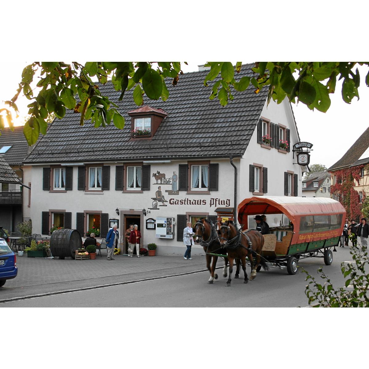 Ferienwohnung im Pflug in Kandern - Logo