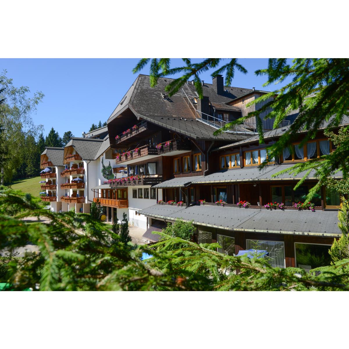 Hotel Schöne Aussicht in Hornberg an der Schwarzwaldbahn - Logo