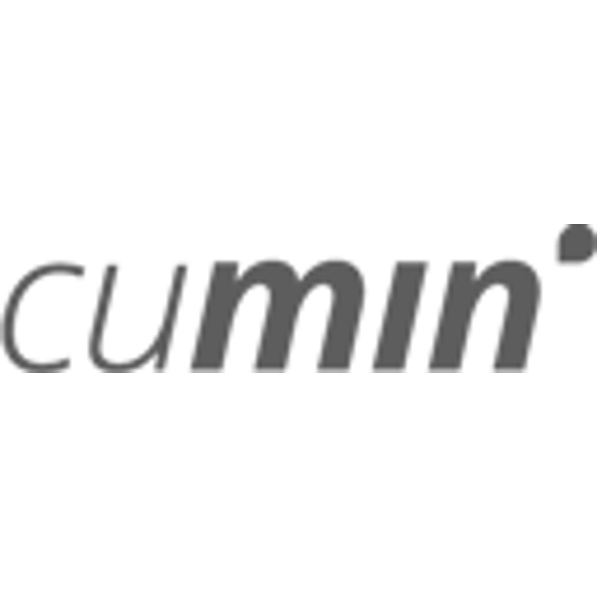 cumin GmbH in Berlin - Logo