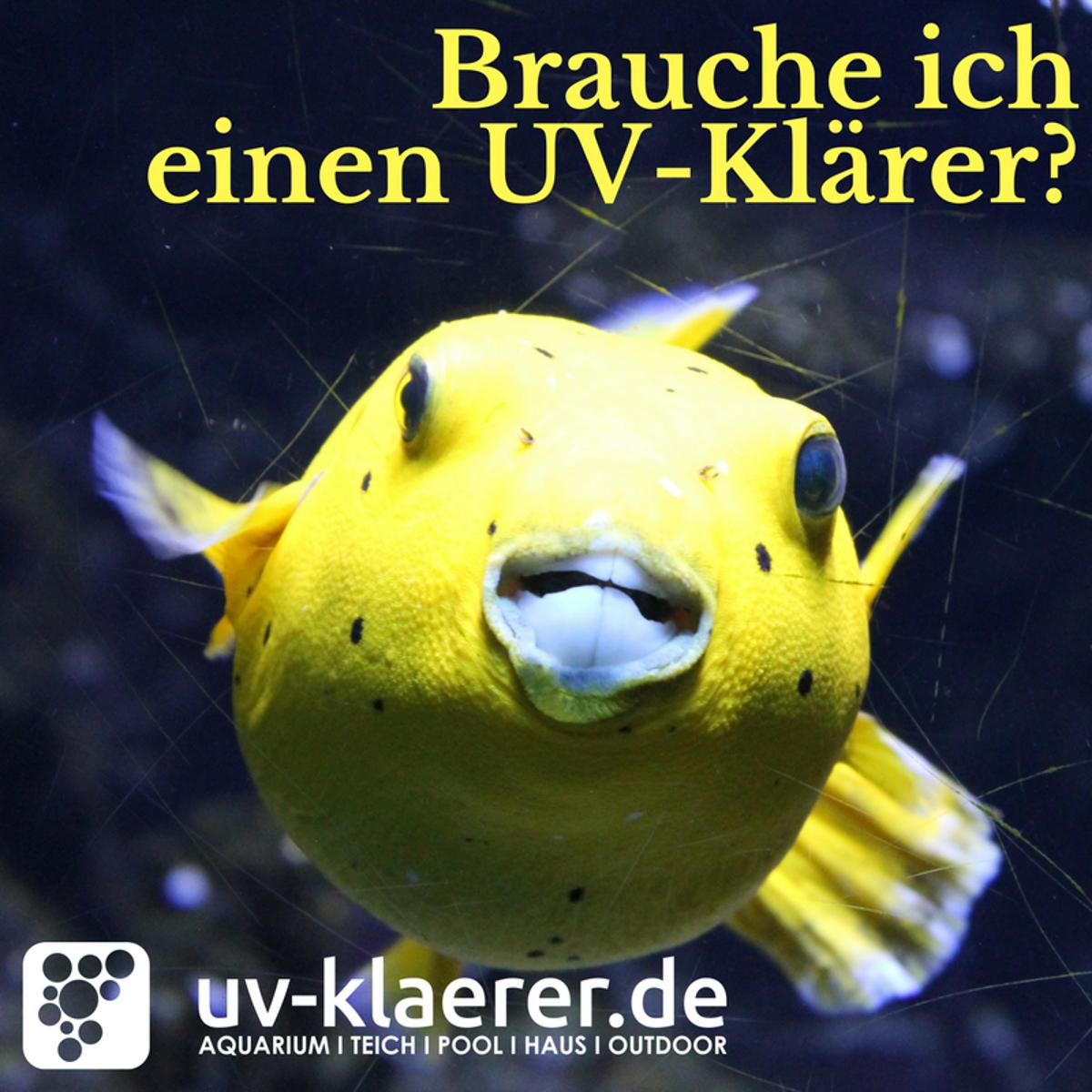 uv-klaerer.de in Berlin - Logo