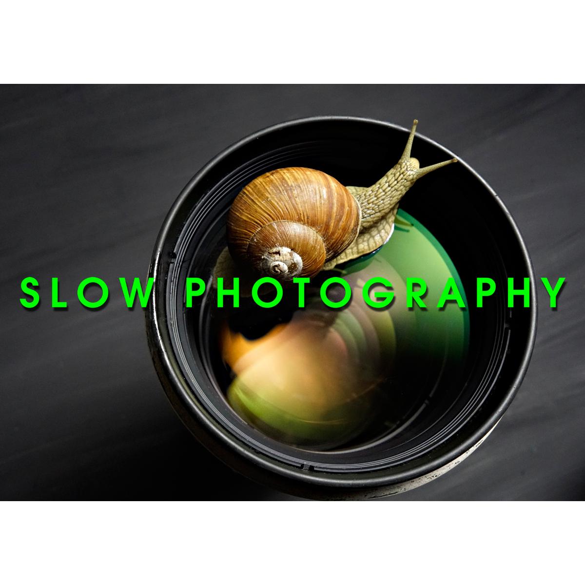 Slowphotography in Hamburg - Logo