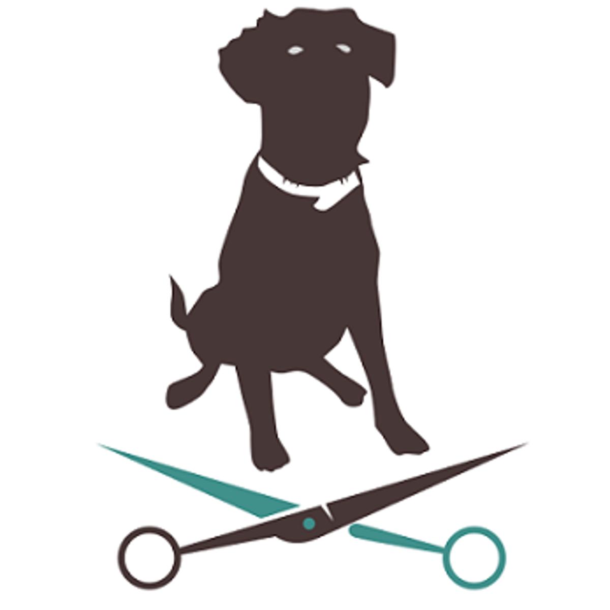 Apollo Hunde Friseur Salon in Koblenz am Rhein - Logo