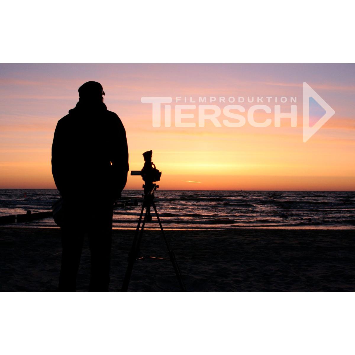 Filmproduktion Tiersch in Köln - Logo