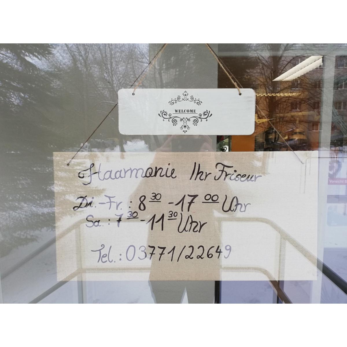 Haarmonie Ihr Friseur, Diana Mehlhorn in Aue Stadt Aue-Bad Schlema - Logo