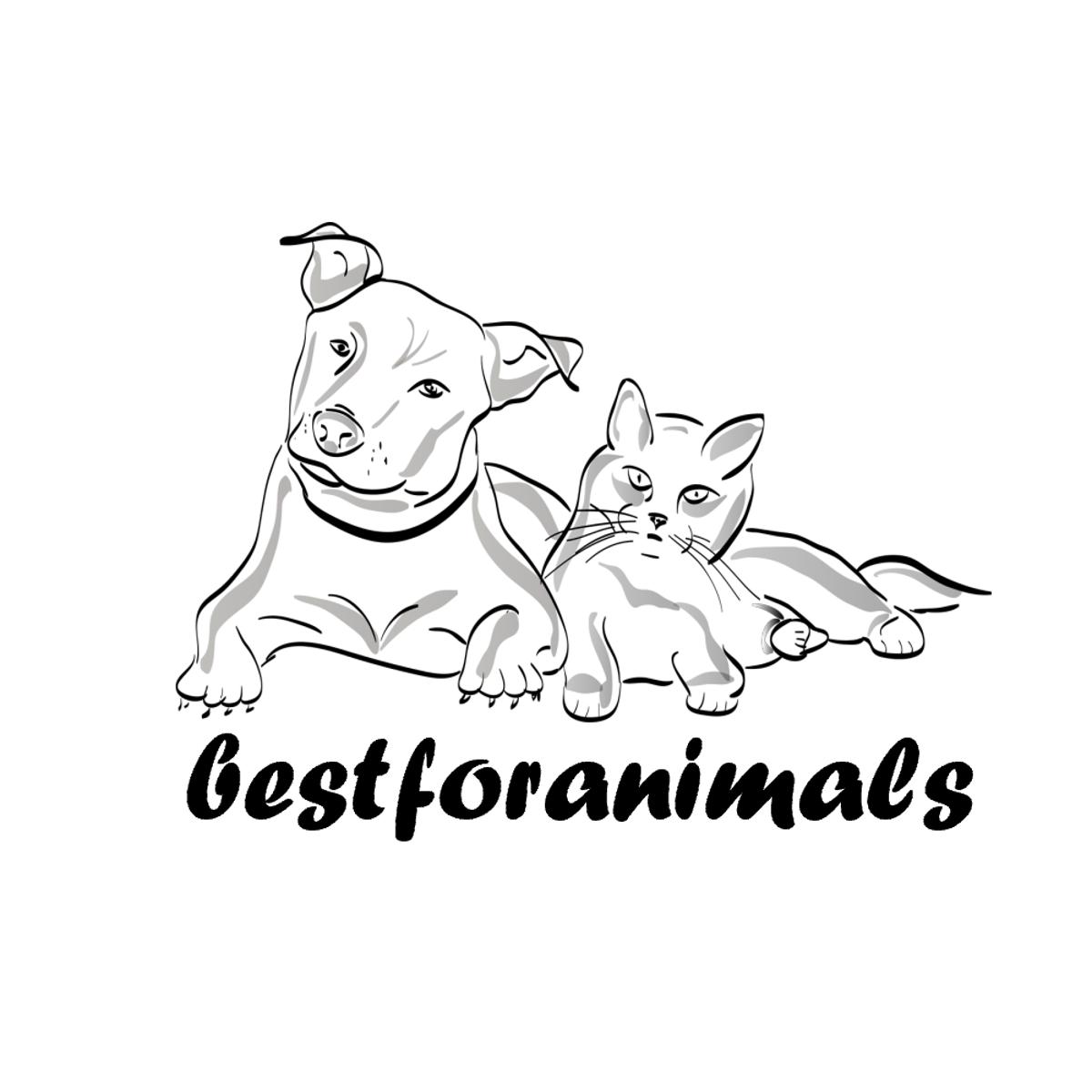 bestforanimals in Bergheim an der Erft - Logo