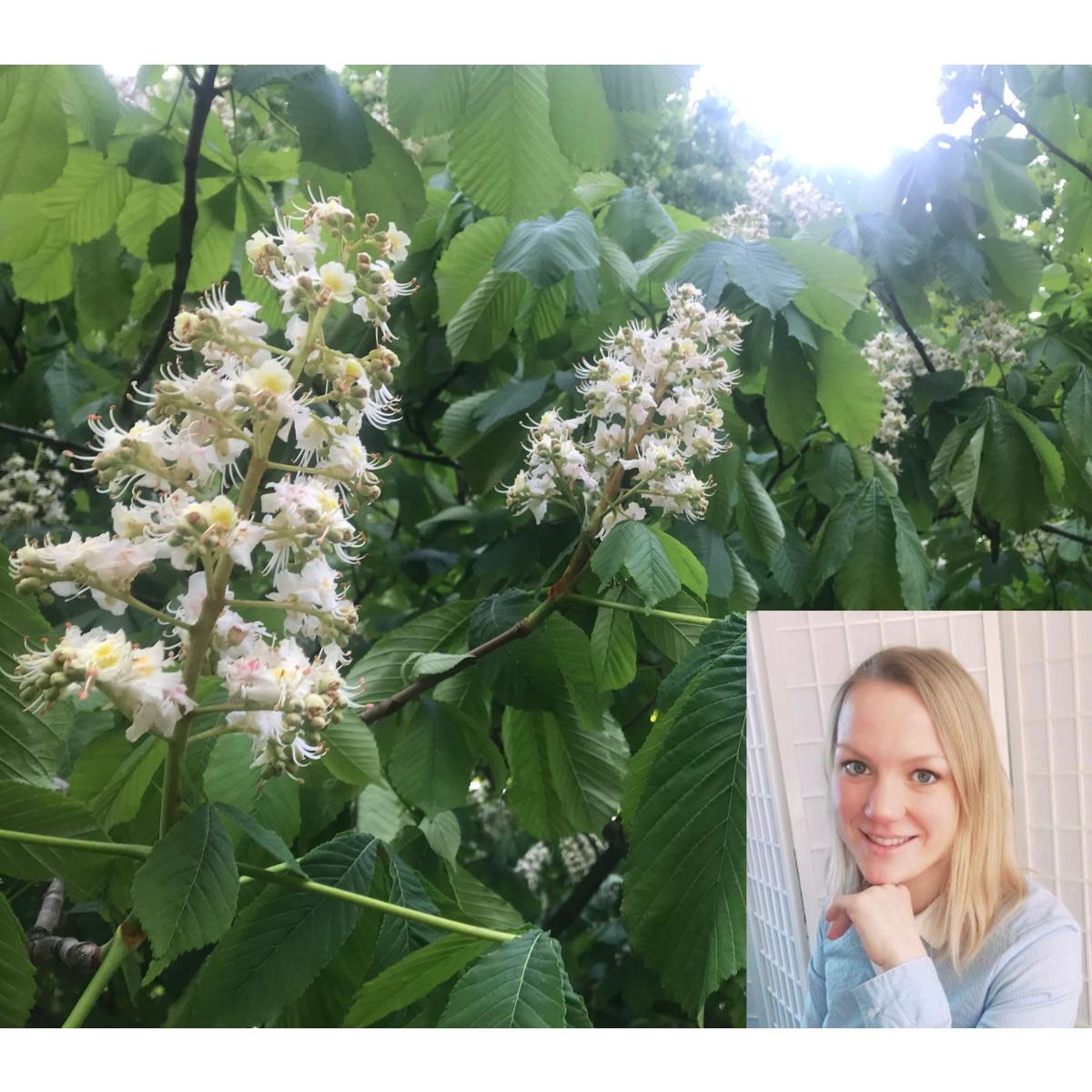 Naturheilpraxis Julia Steenbock in Buchholz in der Nordheide - Logo