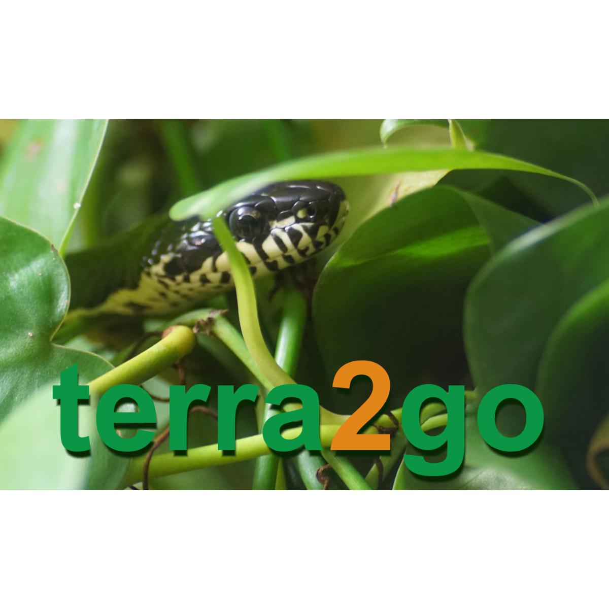 terra2go in Waldfeucht - Logo