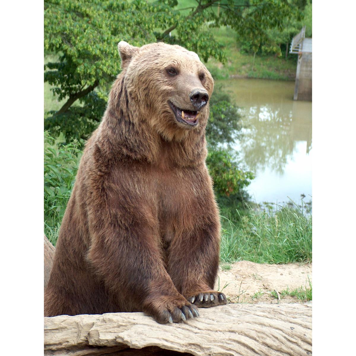 Wild- und Freizeitpark Westerwald in Gackenbach - Logo