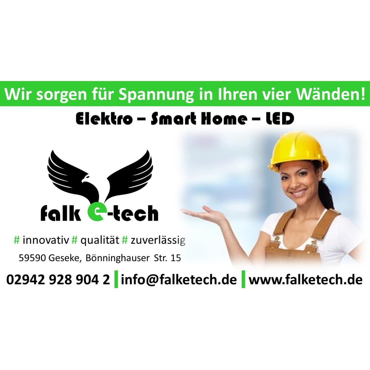 Falk e-tech GmbH in Geseke - Logo