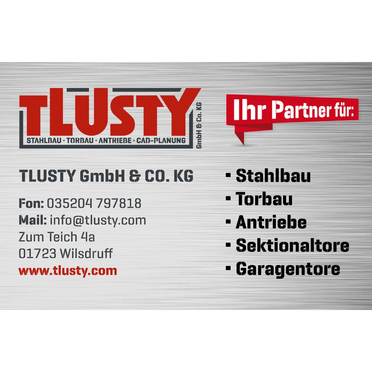 TLUSTY GmbH & Co.KG in Wilsdruff - Logo