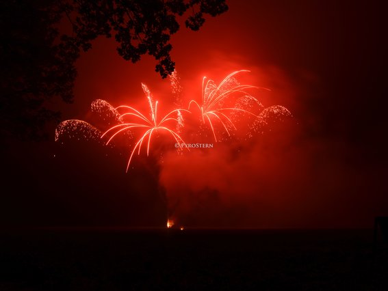 PyroStern - Feuerwerk in Ribbesbüttel - Logo