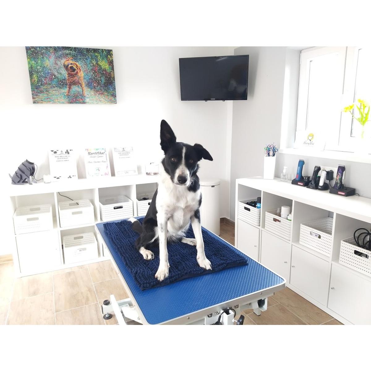 Busy Bee Hundesalon in Simbach am Inn - Logo