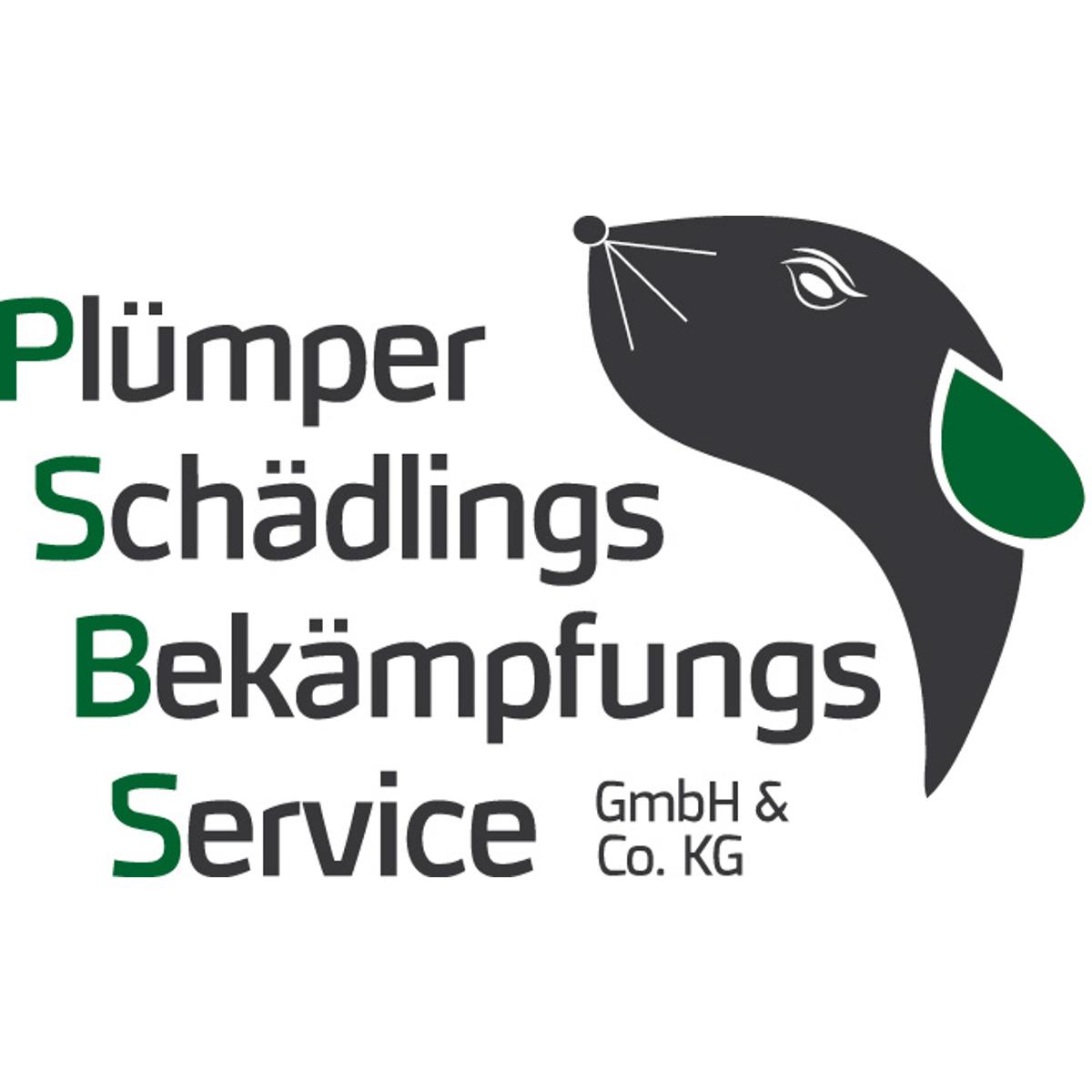 Plümper Schädlingsbekämpfungsservice GmbH & Co. KG in Lindern in Oldenburg - Logo