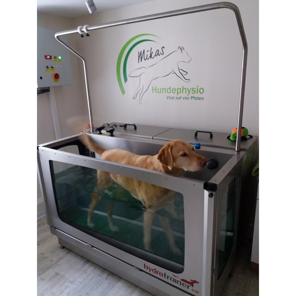 Mikas Hundephysio in Hildesheim - Logo