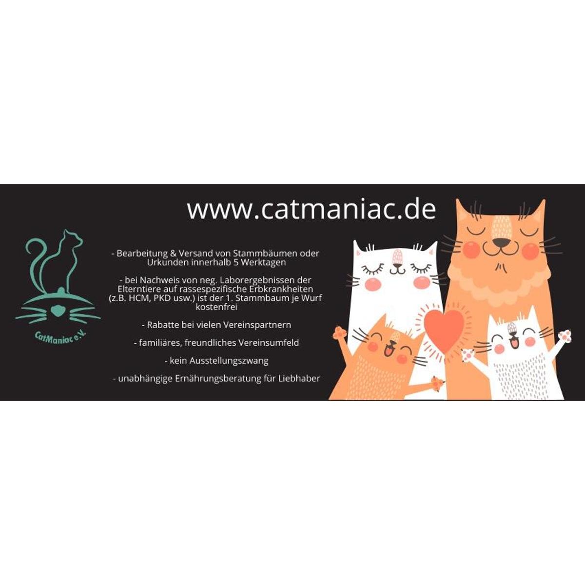 CatManiac e.V. in Salzweg - Logo