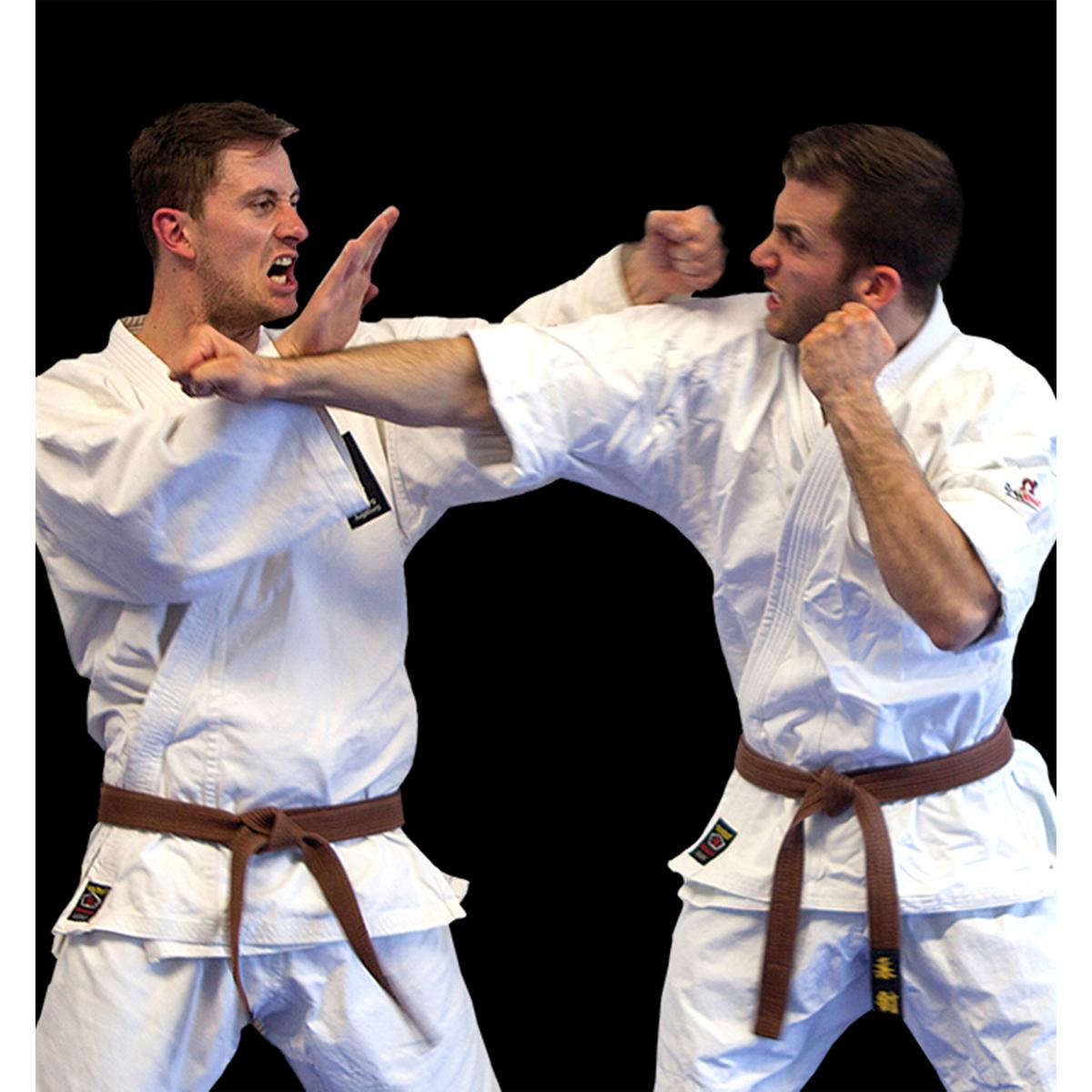 Jiu-Jitsu-Karate Rockenhausen e.V. in Rockenhausen - Logo