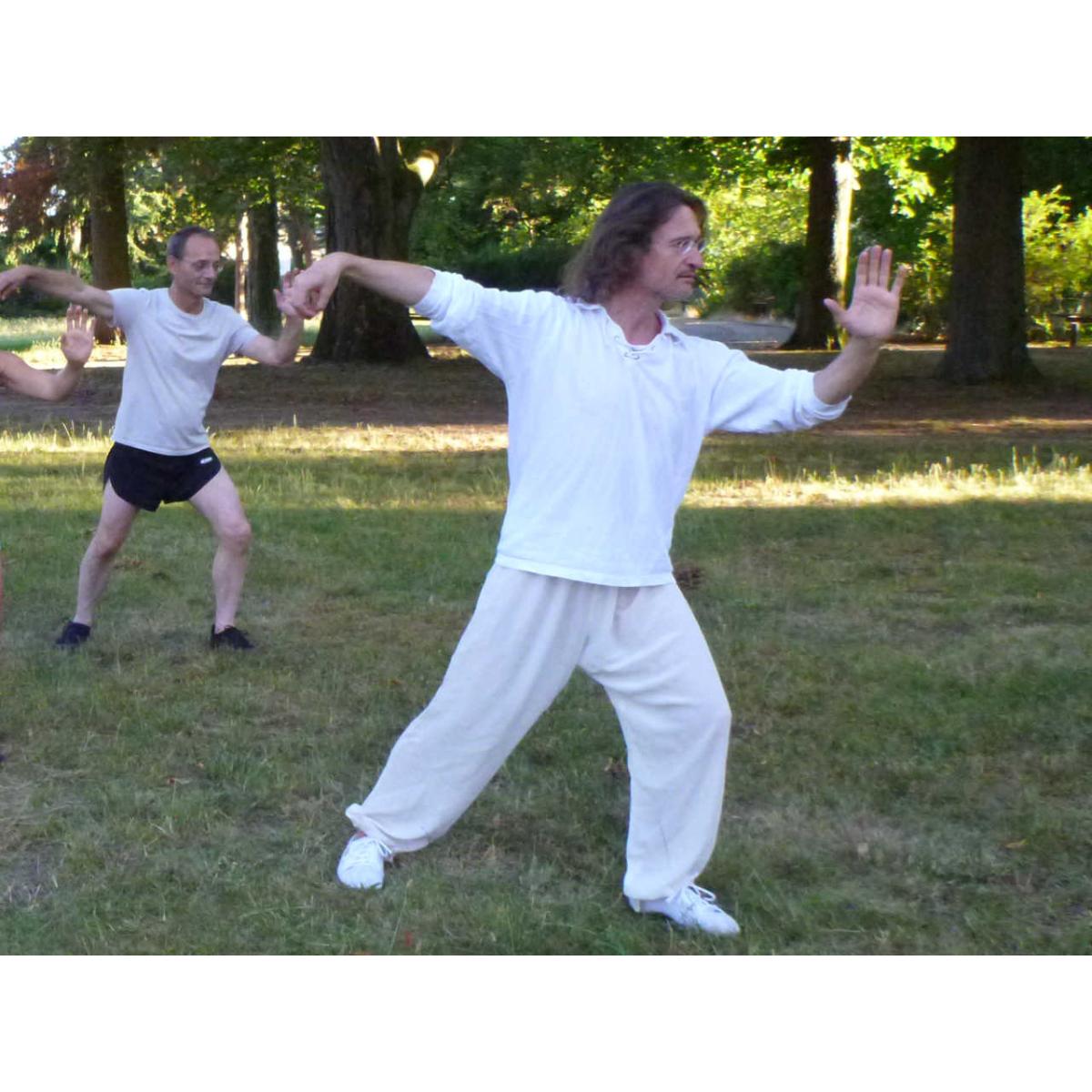 Tai Chi und Qi Gong Schule in Neustadt an der Weinstrasse - Logo