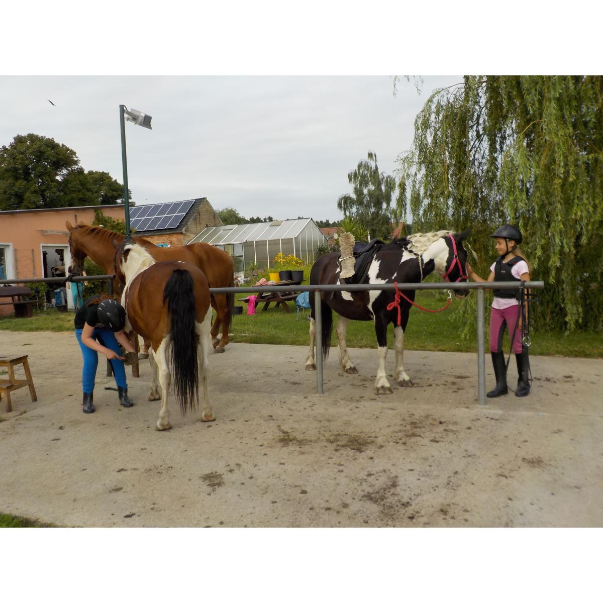 Reitschule Vier-Eichenhof in Beelitz in der Mark - Logo