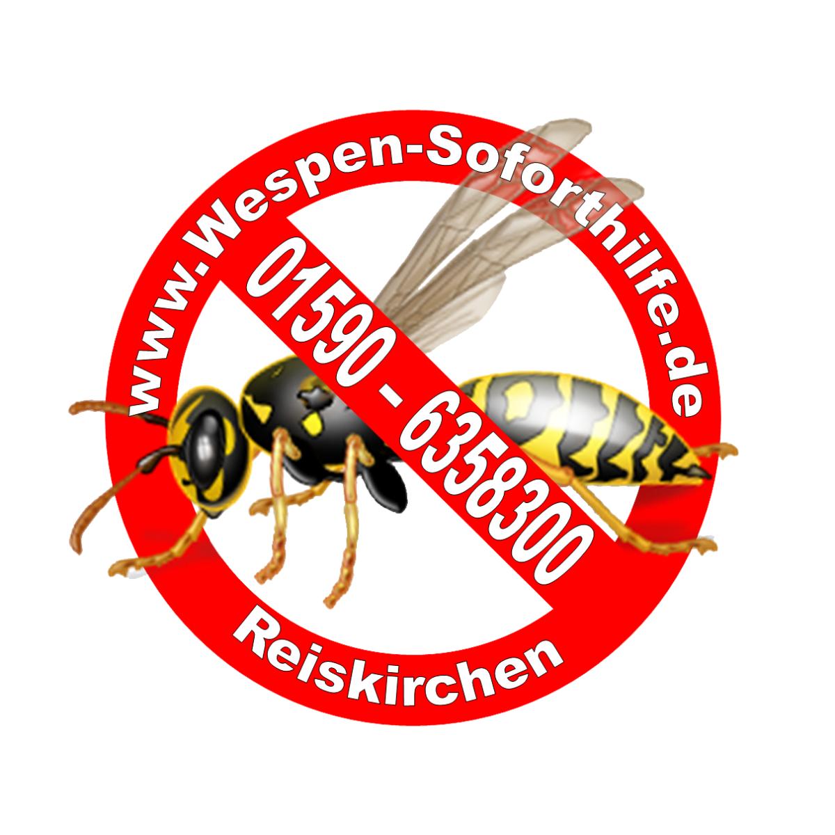 Wespen Soforthilfe in Ettingshausen Gemeinde Reiskirchen - Logo