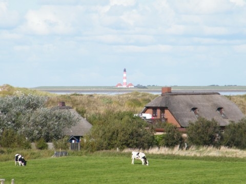 Ferienhäuser Diek&Duenen in Sankt Peter Ording - Logo