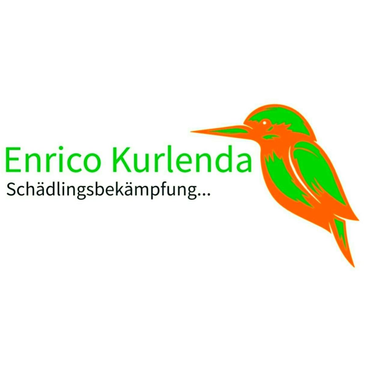 Enrico Kurlenda Schädlingsbekämpfung, Taubenabwehr, Desinfektion, Wespen-Soforthilfe ! in Wuppertal - Logo