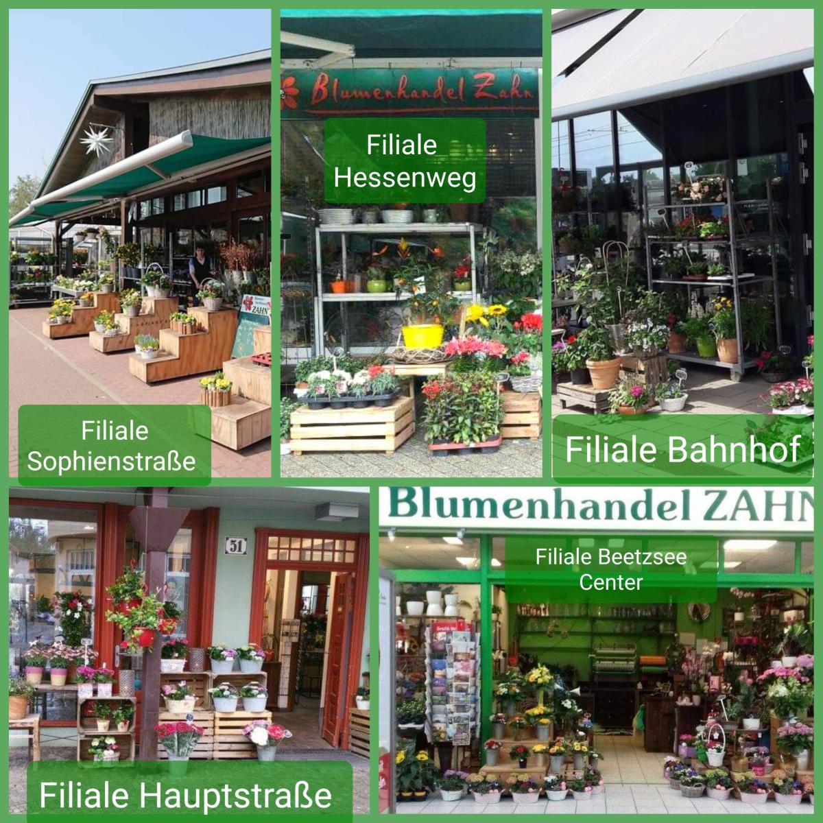 Blumenhandel Zahn GbR in Brandenburg an der Havel - Logo