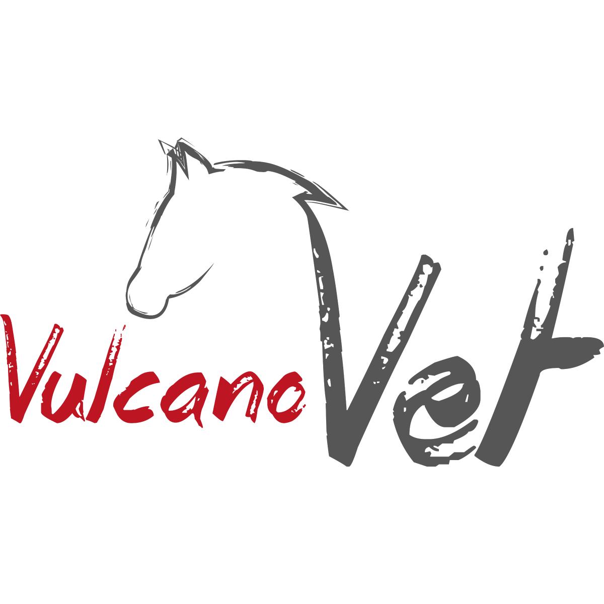 VulcanoVet GmbH in Haren an der Ems - Logo