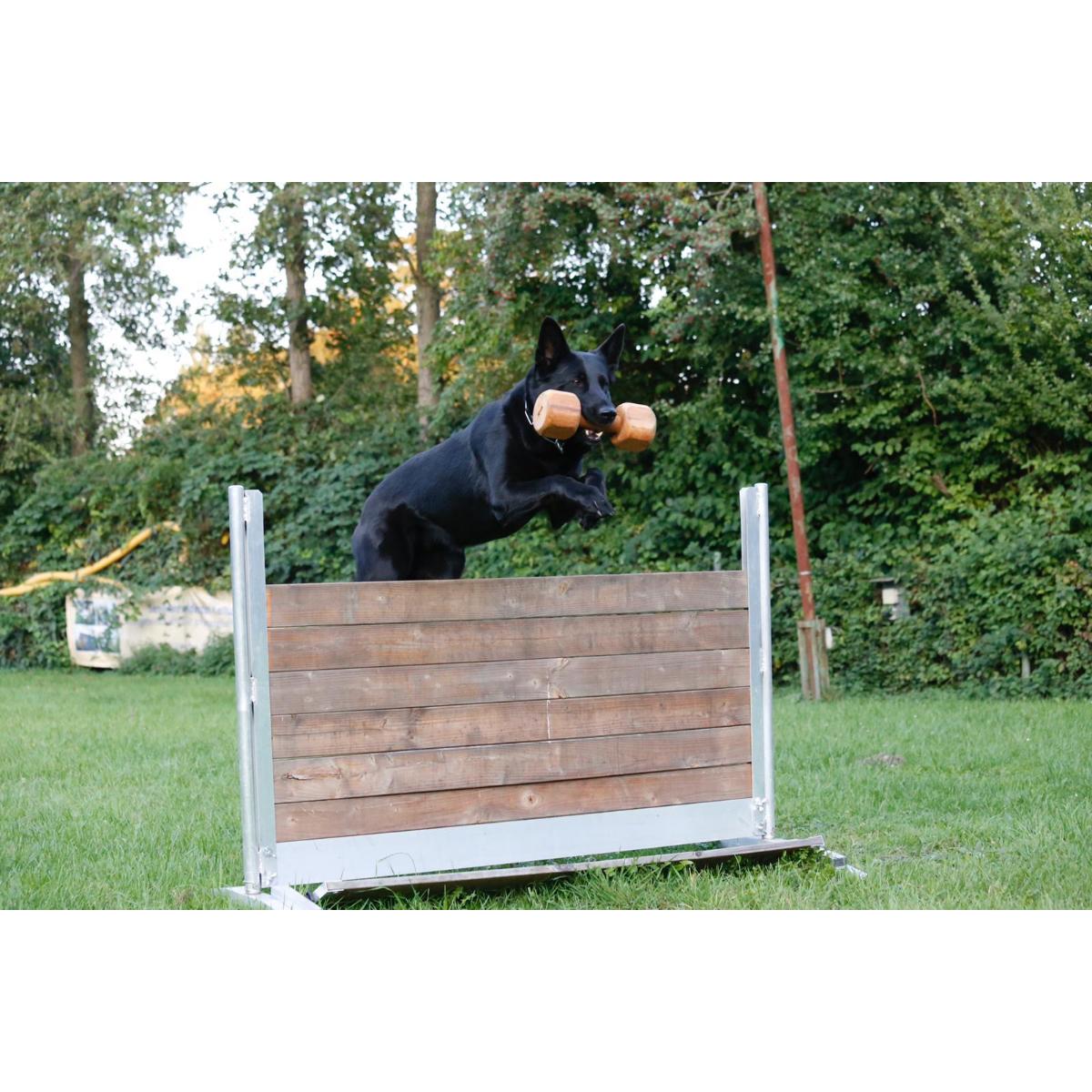 Tako Bello - Rund um den Hund in Mülheim an der Ruhr - Logo