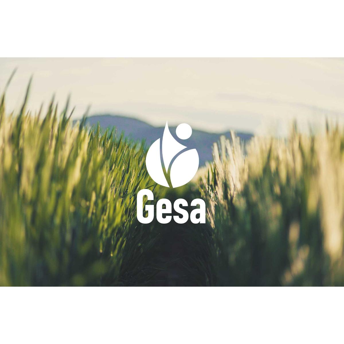 Gesa Gesundheit in Bayerisch Gmain - Logo