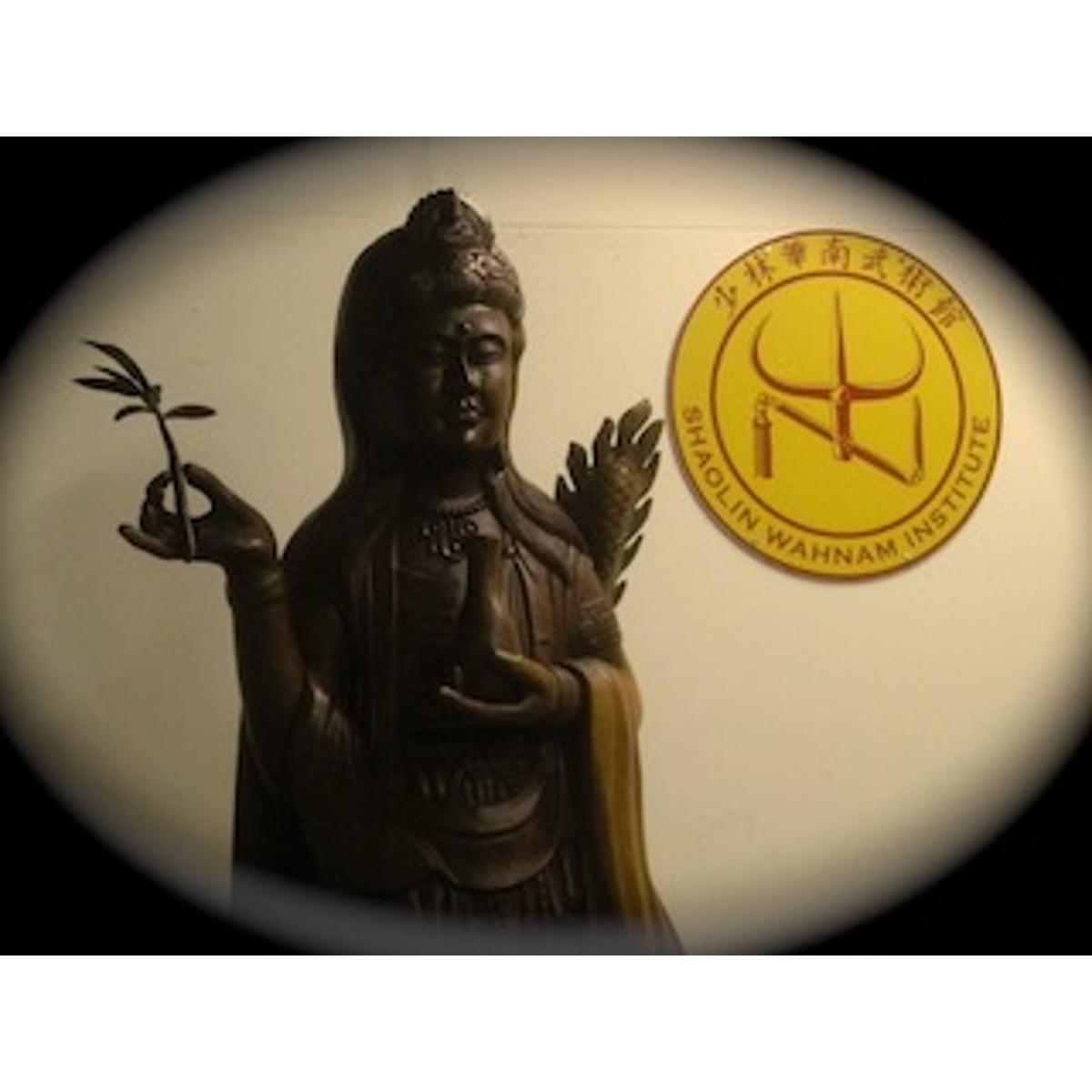 Shaolin Wahnam Institut Deutschland in Frankfurt am Main - Logo