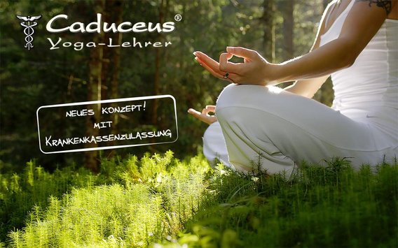 Yoga-Lehrer Schule Schleswig-Holstein in Kronshagen - Logo