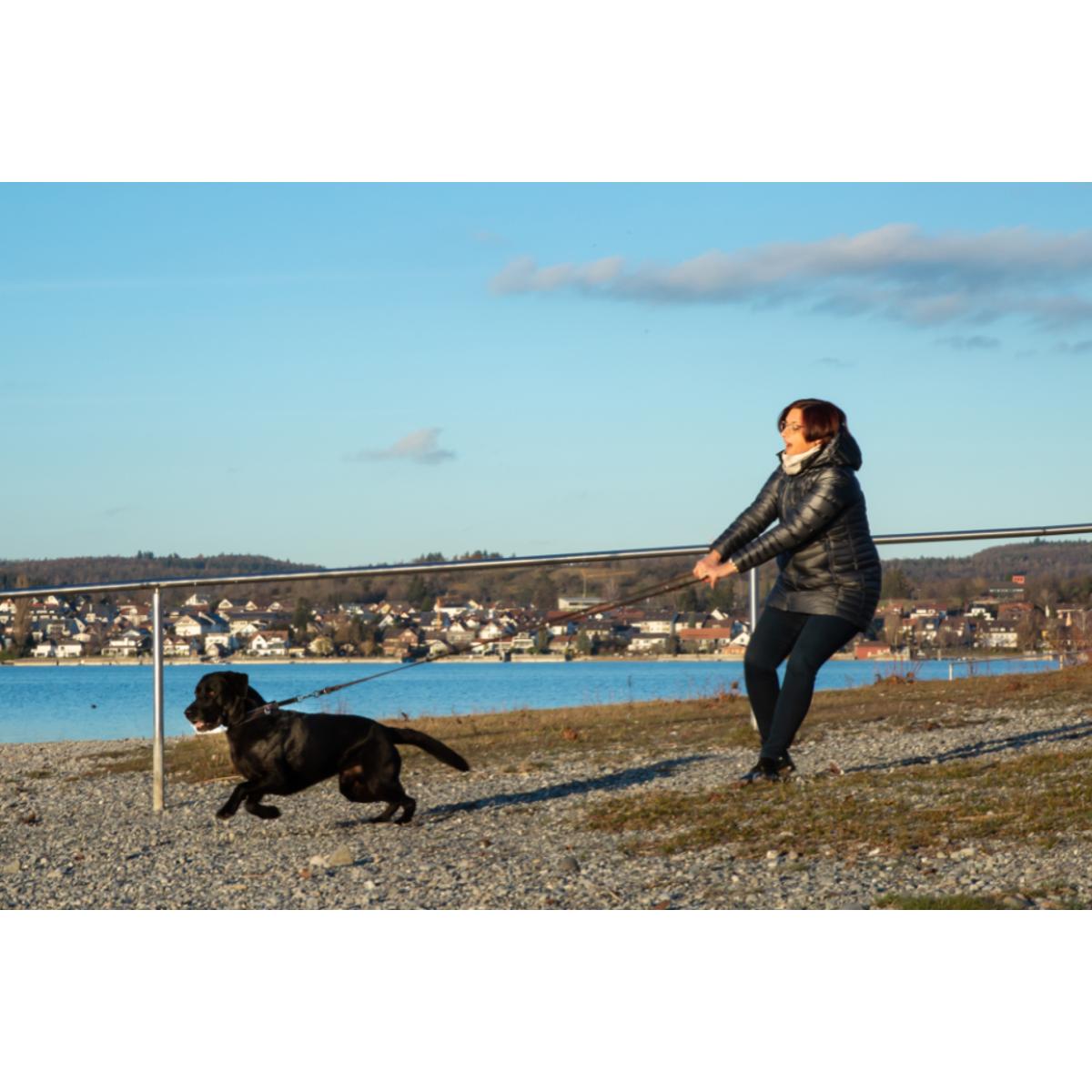 Hundeschule Hundeliebe Silke Berges in Reichenau in Baden - Logo