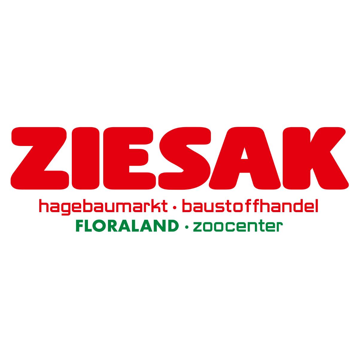 Fritz Ziesak GmbH & Co. KG in Bochum - Logo