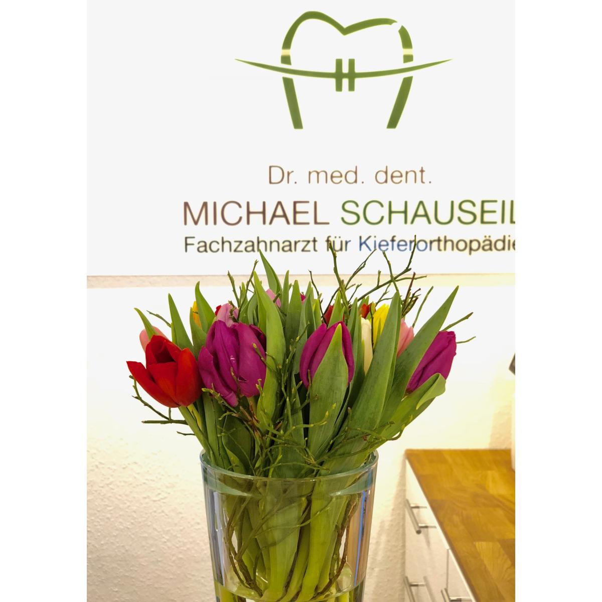 Kieferorthopädie Gerresheim - Dr. Michael Schauseil in Düsseldorf - Logo