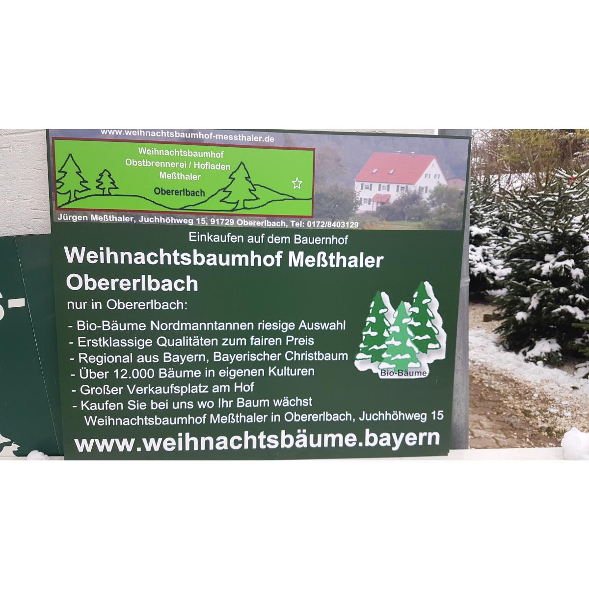 Weihnachtsbäume Meßthaler in Obererlbach Gemeinde Haundorf - Logo