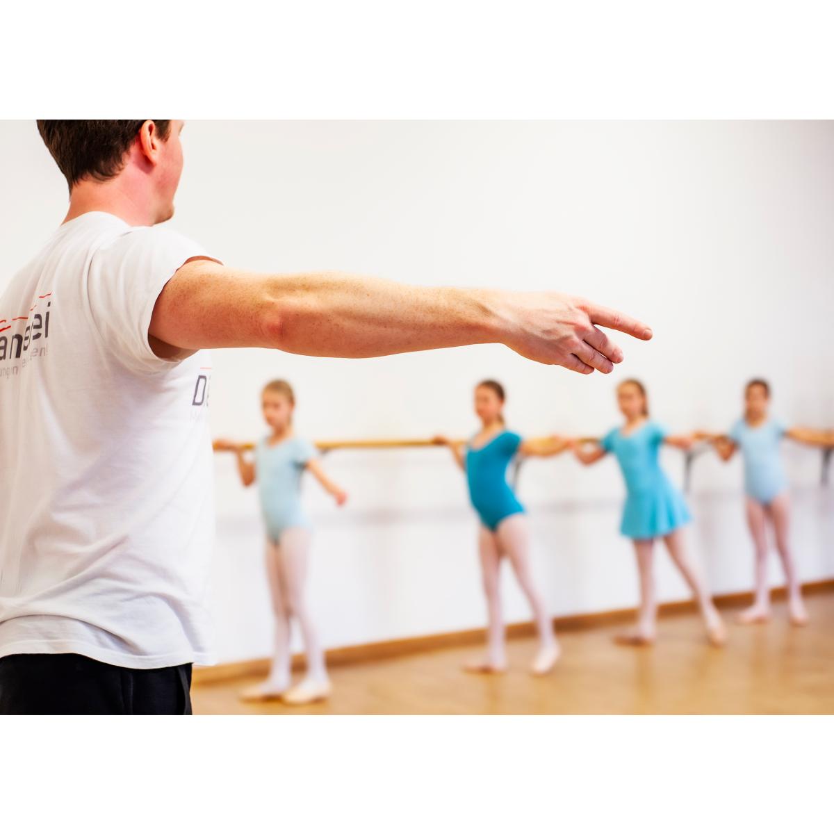 Die Tanzerei- Ballettschule, Fitness- und Kinderkurse Steffen Kranzow in Rehna - Logo