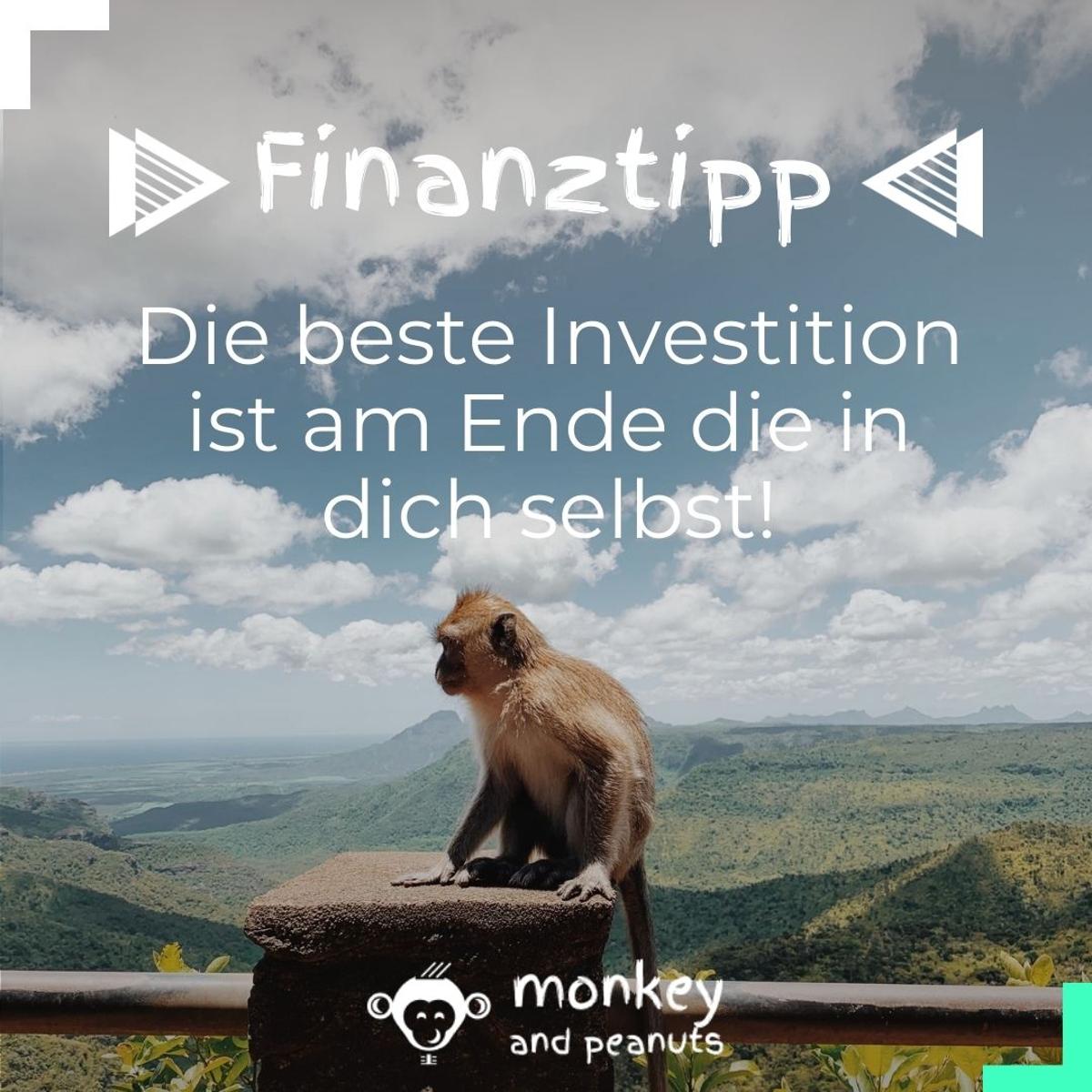 Niko Röhrle - Finanzberatung (monkeyandpeanuts.de) in München - Logo